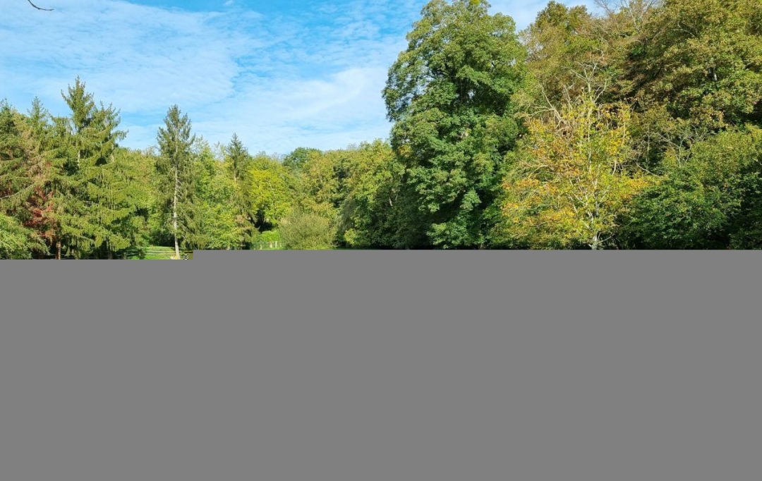 A.C.B.I. - AGENCES CHRISTINE BOYER IMMOBILIER : Domaines / Propriétés | VENDOME (41100) | 315 m2 | 790 000 € 