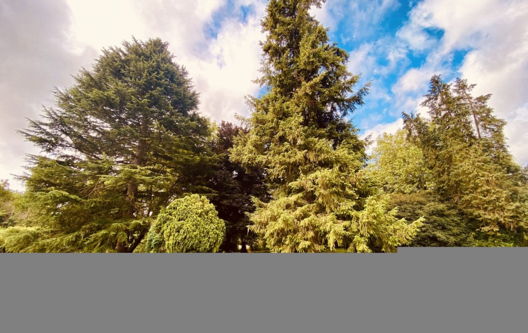 A.C.B.I. - AGENCES CHRISTINE BOYER IMMOBILIER : Maison / Villa | MAZANGE (41100) | 153 m2 | 298 000 € 