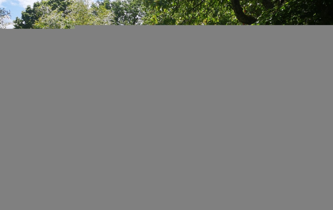 A.C.B.I. - AGENCES CHRISTINE BOYER IMMOBILIER : House | VENDOME (41100) | 100 m2 | 136 990 € 