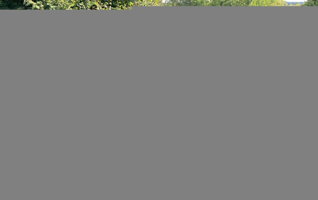 A.C.B.I. - AGENCES CHRISTINE BOYER IMMOBILIER : Maison / Villa | VENDOME (41100) | 265 m2 | 388 500 € 