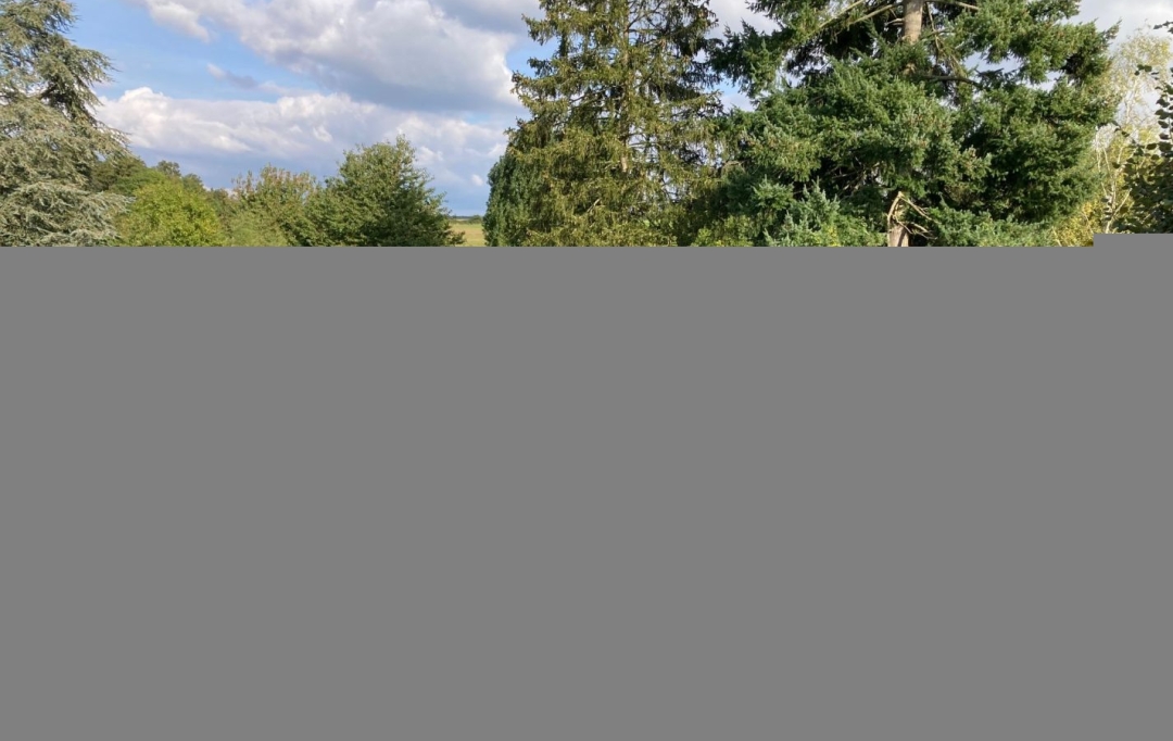 A.C.B.I. - AGENCES CHRISTINE BOYER IMMOBILIER : Maison / Villa | VENDOME (41100) | 265 m2 | 388 500 € 