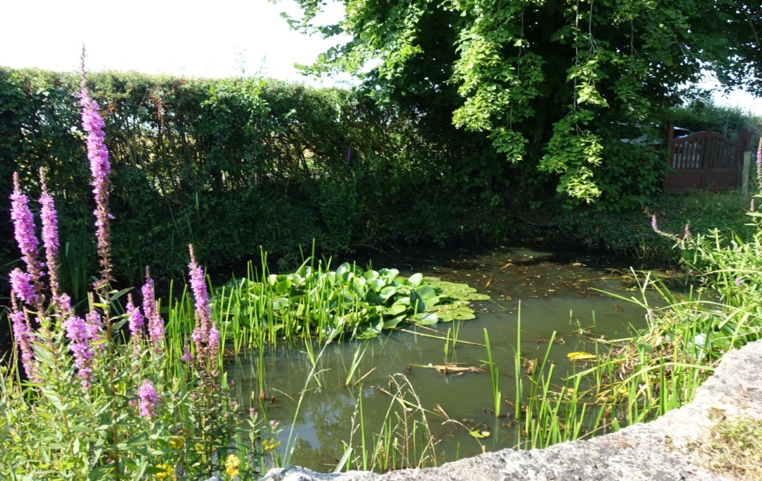 A.C.B.I. - AGENCES CHRISTINE BOYER IMMOBILIER : House | OUCQUES-LA-NOUVELLE (41290) | 154 m2 | 194 250 € 