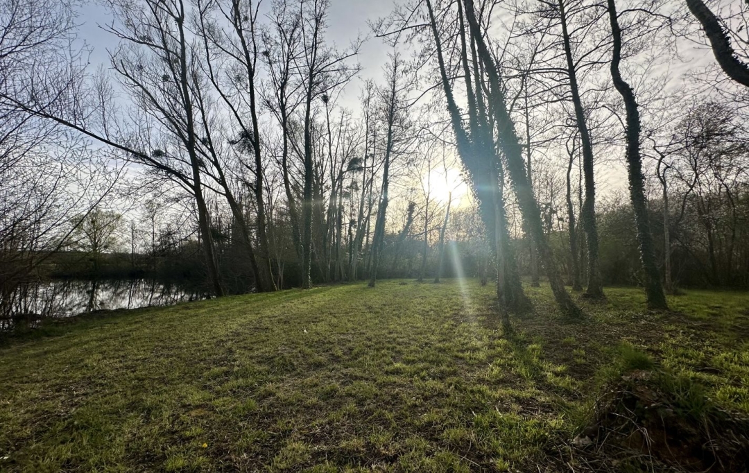 A.C.B.I. - AGENCES CHRISTINE BOYER IMMOBILIER : Ground | PEZOU (41100) | 0 m2 | 29 000 € 