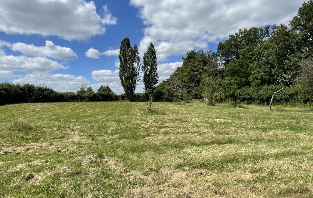 A.C.B.I. - AGENCES CHRISTINE BOYER IMMOBILIER : Maison / Villa | OUCQUES-LA-NOUVELLE (41290) | 97 m2 | 138 000 € 