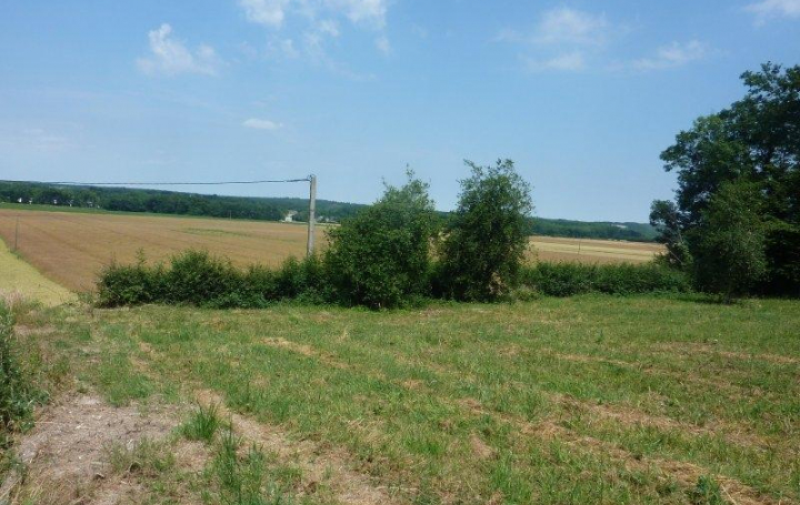 A.C.B.I. - AGENCES CHRISTINE BOYER IMMOBILIER : Terrain | VENDOME (41100) | 0 m2 | 37 000 € 