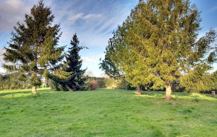 A.C.B.I. - AGENCES CHRISTINE BOYER IMMOBILIER : Maison / Villa | VENDOME (41100) | 155 m2 | 164 500 € 