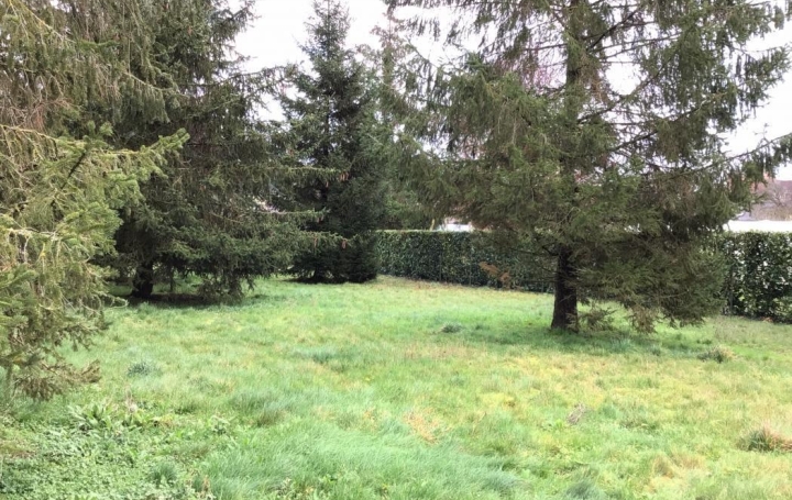 A.C.B.I. - AGENCES CHRISTINE BOYER IMMOBILIER Terrain | OUZOUER-LE-MARCHE (41240) | 0 m2 | 56 000 € 