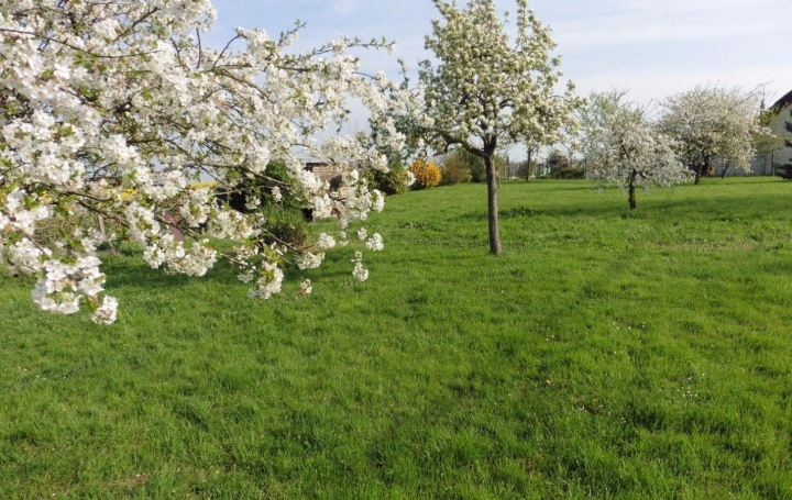  A.C.B.I. - AGENCES CHRISTINE BOYER IMMOBILIER Terrain | VENDOME (41100) | 0 m2 | 37 800 € 