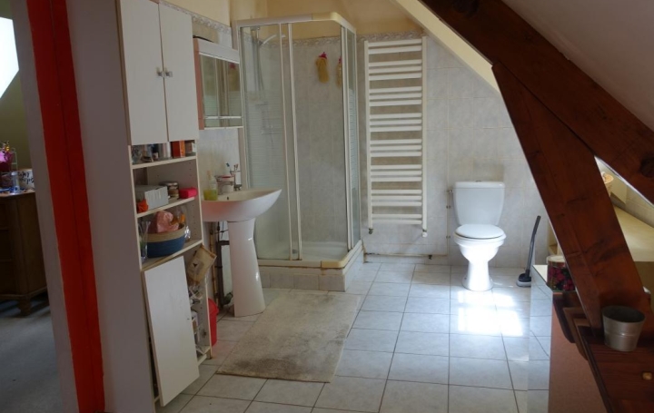 A.C.B.I. - AGENCES CHRISTINE BOYER IMMOBILIER : Maison / Villa | FRETEVAL (41160) | 180 m2 | 197 400 € 