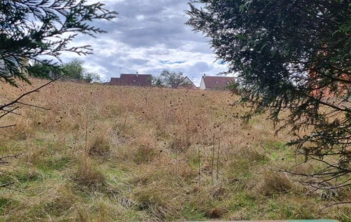  A.C.B.I. - AGENCES CHRISTINE BOYER IMMOBILIER Terrain | LA VILLE-AUX-CLERCS (41160) | 0 m2 | 30 800 € 
