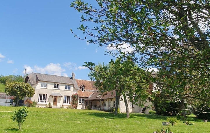  A.C.B.I. - AGENCES CHRISTINE BOYER IMMOBILIER Domaines / Propriétés | VILLIERS-SUR-LOIR (41100) | 210 m2 | 299 000 € 