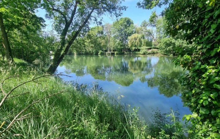 A.C.B.I. - AGENCES CHRISTINE BOYER IMMOBILIER Terrain | AREINES (41100) | 0 m2 | 8 500 € 