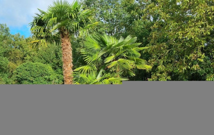  A.C.B.I. - AGENCES CHRISTINE BOYER IMMOBILIER House | VENDOME (41100) | 275 m2 | 479 500 € 
