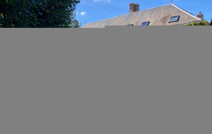  A.C.B.I. - AGENCES CHRISTINE BOYER IMMOBILIER House | VENDOME (41100) | 265 m2 | 388 500 € 